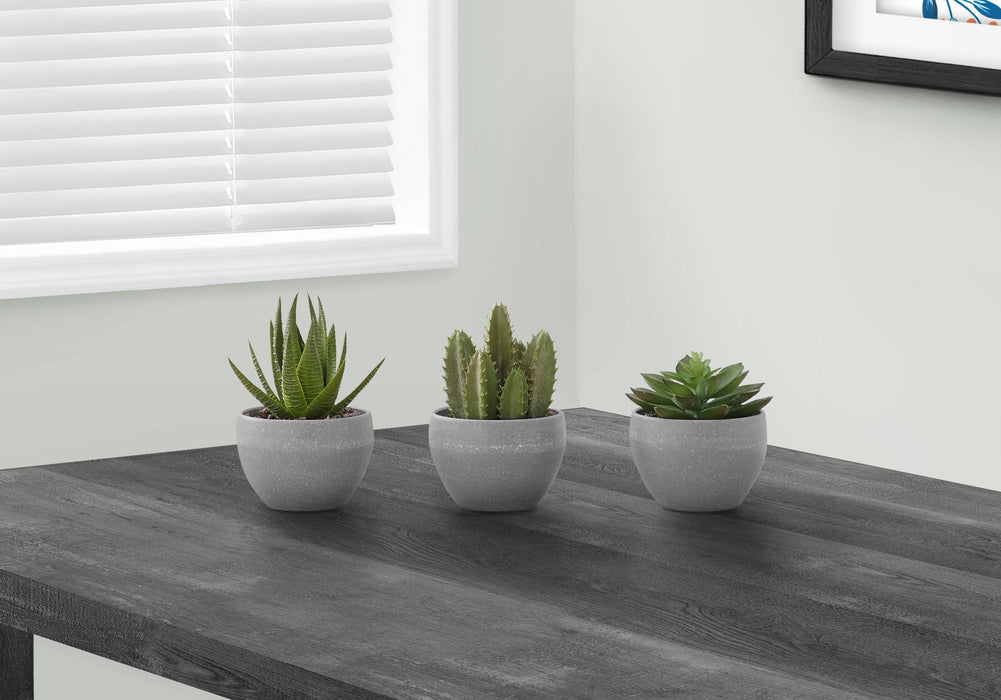 Artificial Plant, 6" Tall, Succulent, Indoor, Faux, Fake, Table, Greenery, Potted, Decorative (Set of 3) - Green / Gray