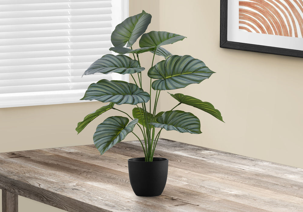 Artificial Plant, 24" Tall, Calathea, Indoor, Faux, Fake, Table, Greenery, Potted, Real Touch, Decorative - Green / Black