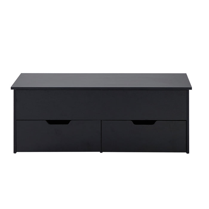 Lift-Top Coffee Table With Storage Center Tables Hidden Compartment & 2 Drawers, Sofa Table For Living Room - Black