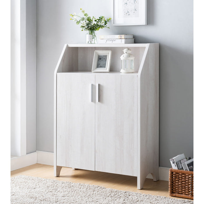 Modern Shoe / Storage Cabinet Two Door With 4 Shelves