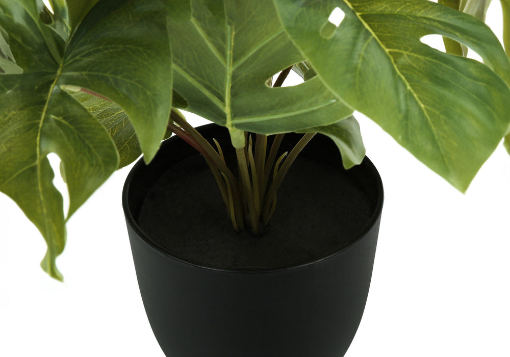 Artificial Plant, 13" Tall, Monstera Calthea, Indoor, Faux, Fake, Table, Greenery, Potted, Decorative (Set of 2) - Green / Black