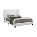 Muave - Upholstered Bed Bedding & Furniture Discounters