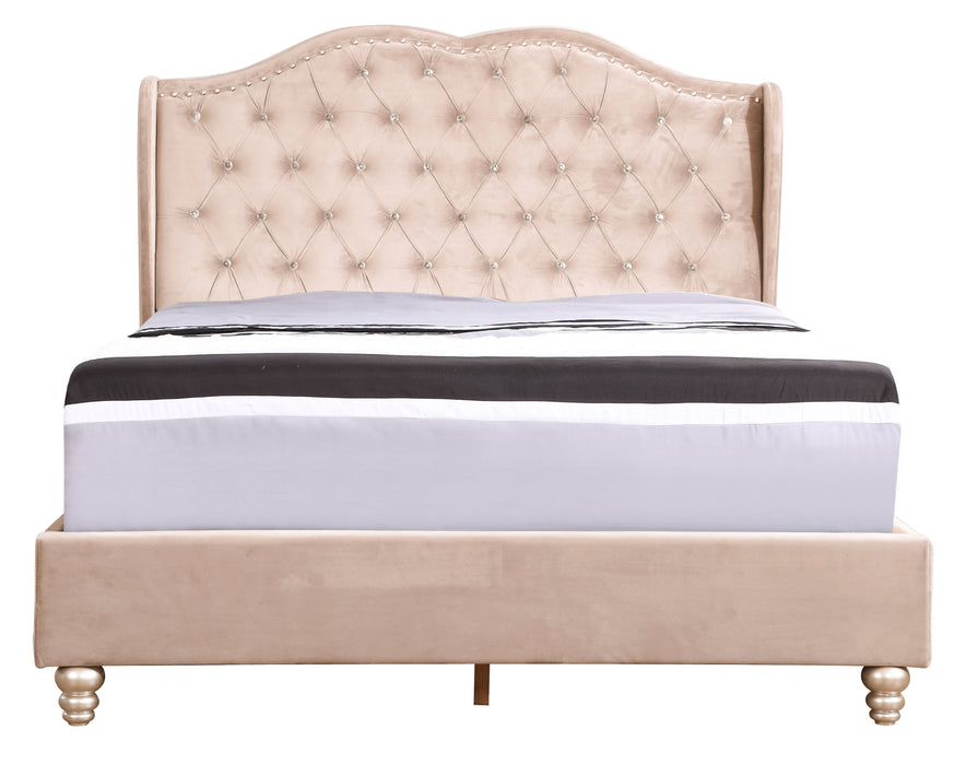 Upholstered Velvet Bed Transitional