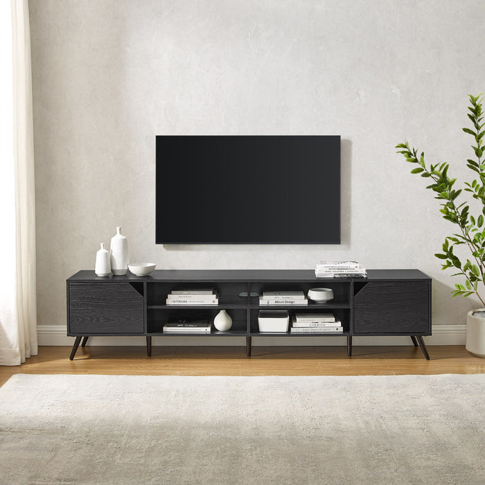 Contemporary 2 Door Minimalist TV Stand