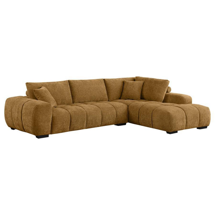 Camacho - Upholstered Chaise Sectional Sofa