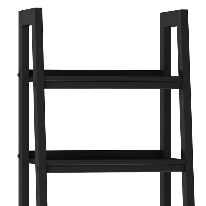 Sawhorse - Ladder Shelf with Storage