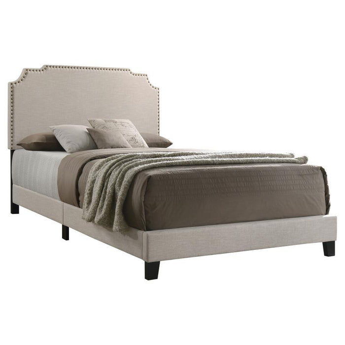 Tamarac - Cama Nailhead Tapizada