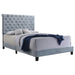 Warner - Upholstered Bed Bedding & Furniture Discounters
