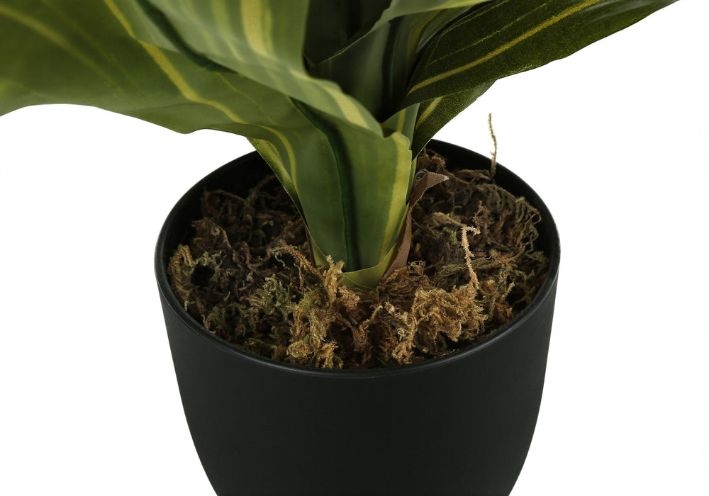 Artificial Plant, 17" Tall, Dracaena, Indoor, Faux, Fake, Table, Greenery, Potted, Real Touch, Decorative - Green / Black