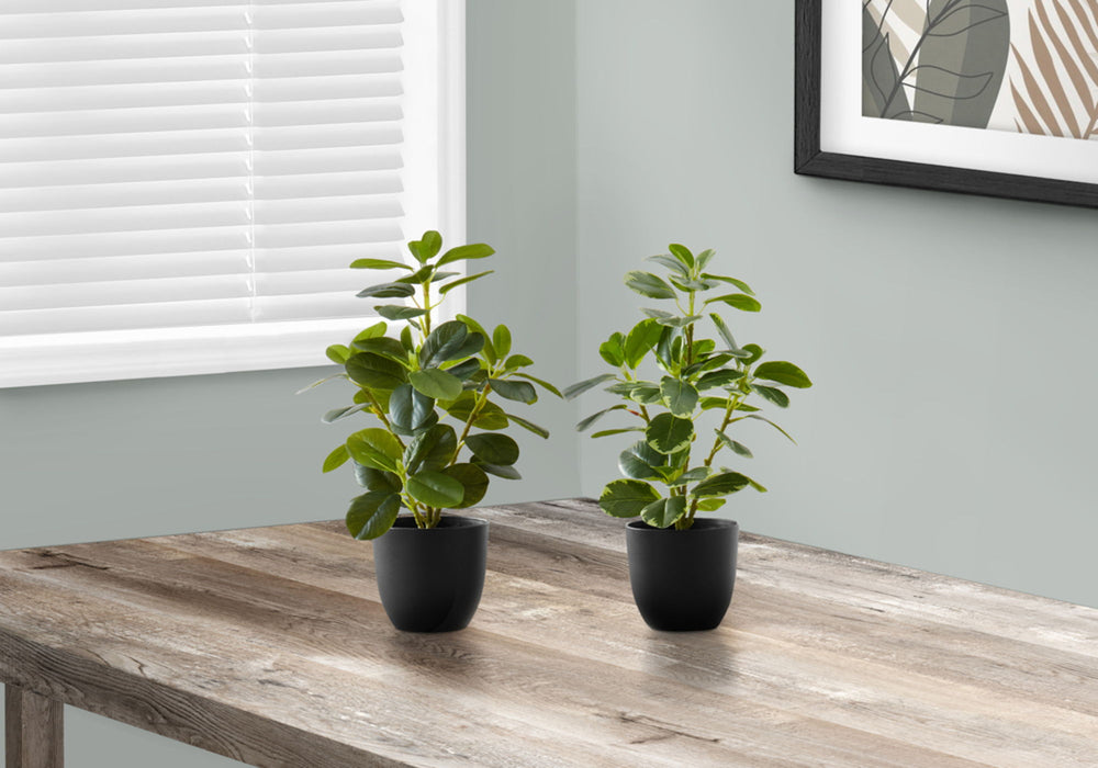 Artificial Plant, 14" Tall, Ficus, Indoor, Faux, Fake, Table, Greenery, Potted, Decorative (Set of 2) - Green / Black