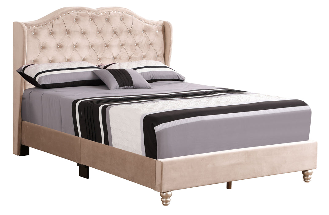 Upholstered Velvet Bed Transitional