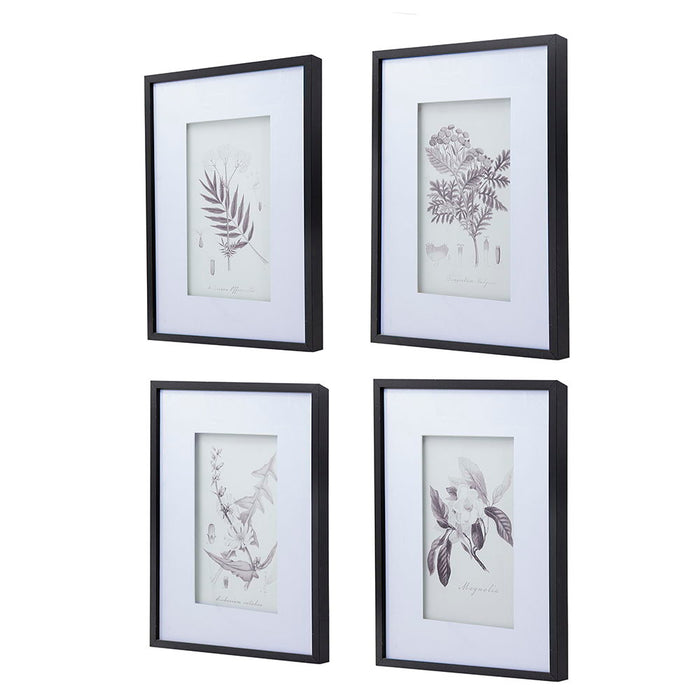 Botanical Wall Art Prints, Home Decor For Living Room, Dining Room, Bedroom, Hallway (Set of 4) - White / Black