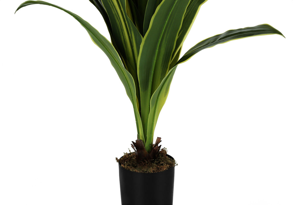 Artificial Plant, 47" Tall, Dracaena Tree, Indoor, Faux, Fake, Floor, Greenery, Potted, Real Touch, Decorative - Green / Black