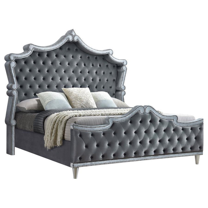 Antonella - Upholstered Panel Bed