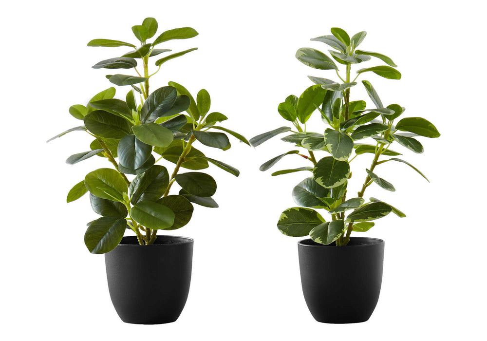 Artificial Plant, 14" Tall, Ficus, Indoor, Faux, Fake, Table, Greenery, Potted, Decorative (Set of 2) - Green / Black