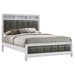 Barzini - Upholstered Panel Bed Bedding & Furniture DiscountersFurniture Store in Orlando, FL